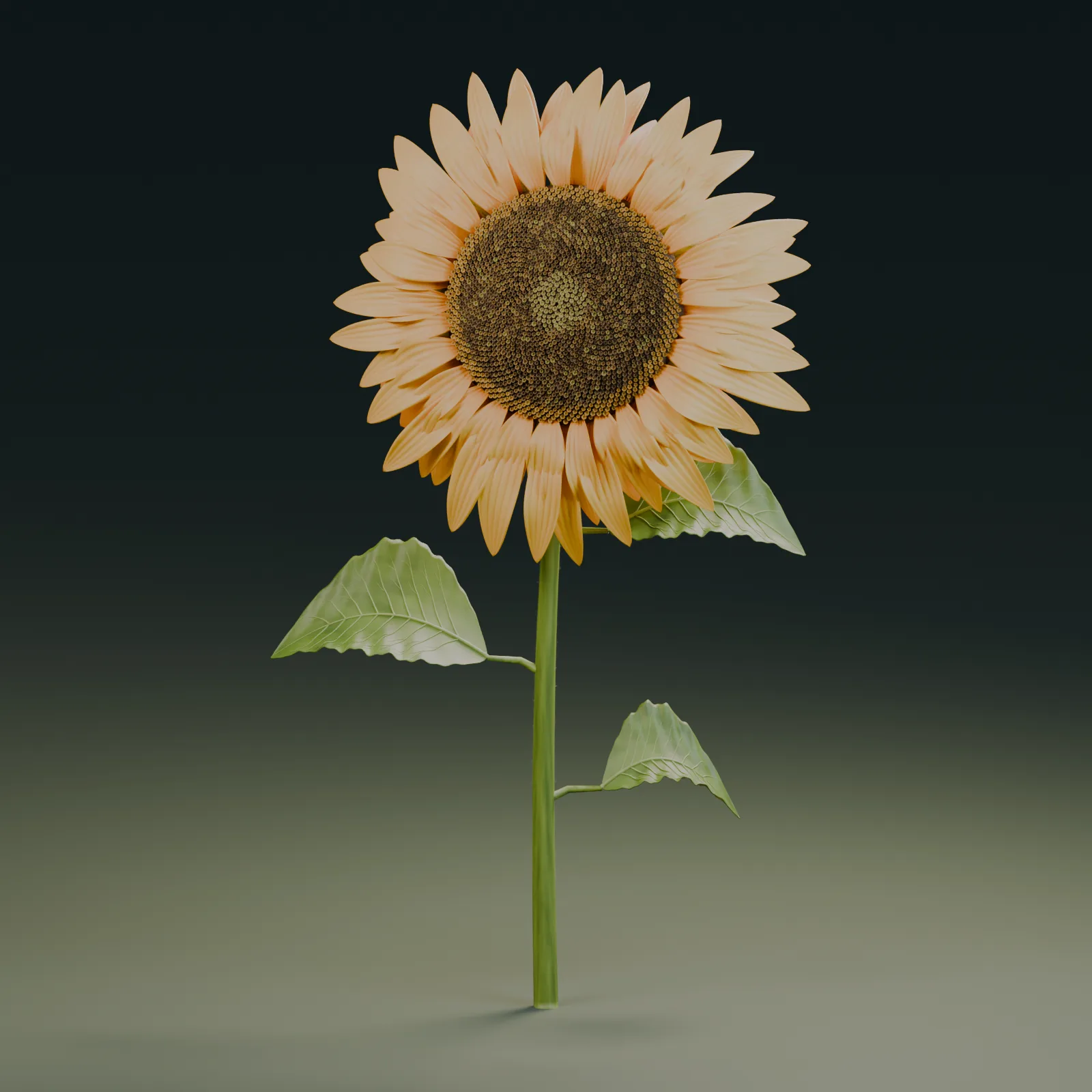 Sonnenblume von Astra: kräftiges Gold-Orange, detaillierter dunkelbrauner Spiralkern, naturalistische Blätter, weicher Farbverlauf im Hintergrund.