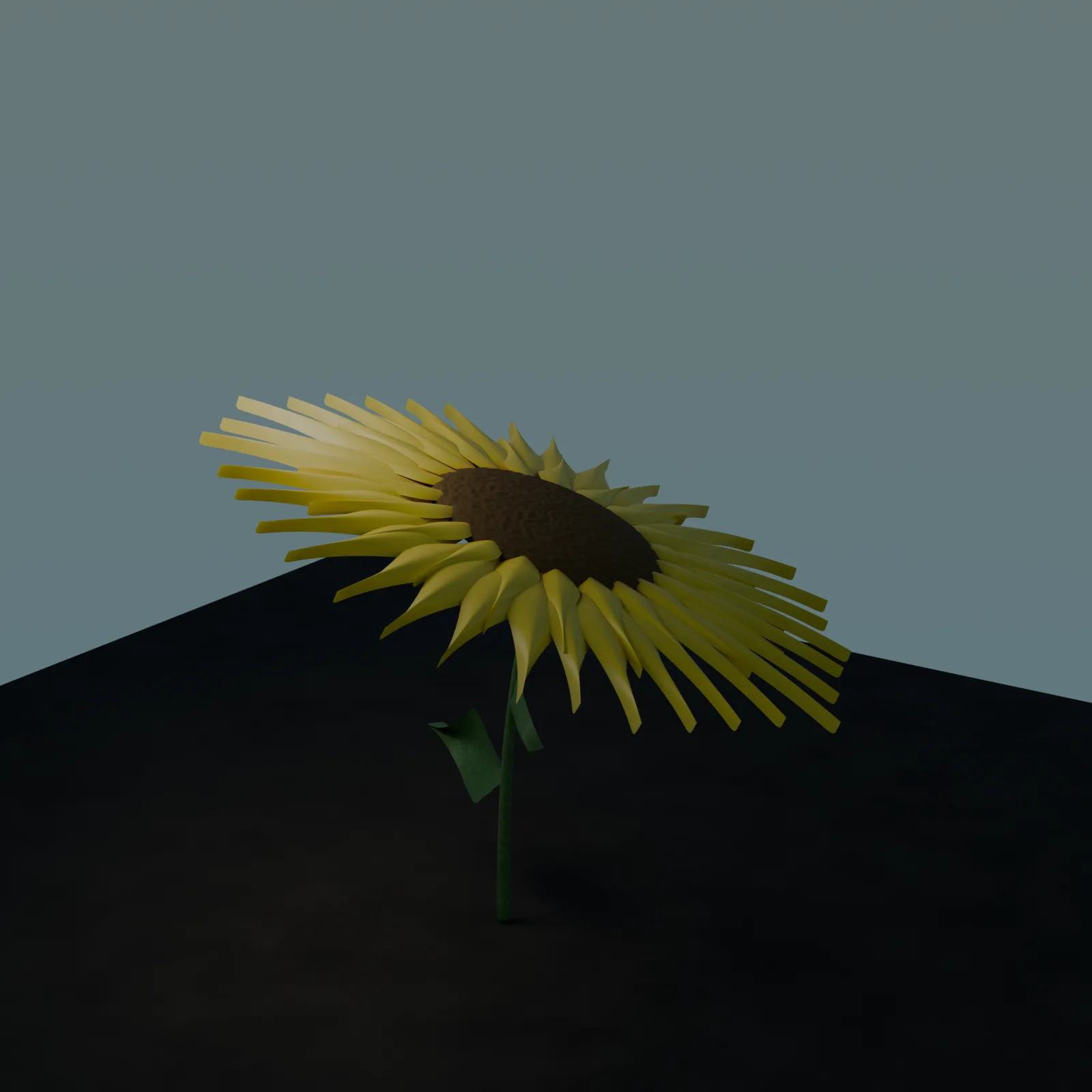 Sonnenblume von Sonnet: gelbe spitze Blütenblätter, dunkler Vordergrund als Schatten, dramatischer Himmel.