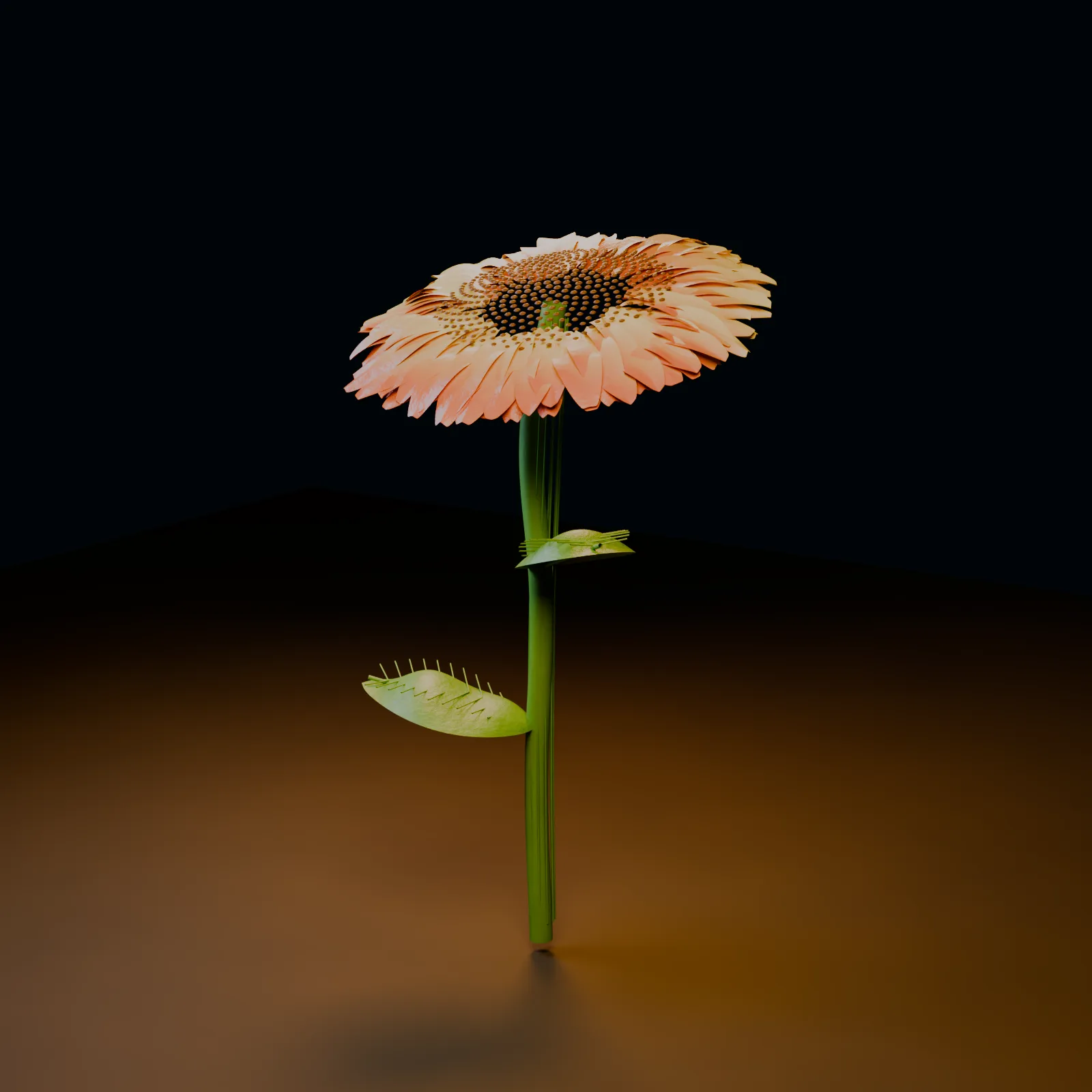 Sonnenblume von Terra: lachsfarbene Blütenblätter, detaillierter Kern, spitze schmale Blätter, dunkler Hintergrund mit warmem Verlauf.